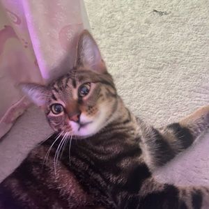 Meet your Posher, Jenny